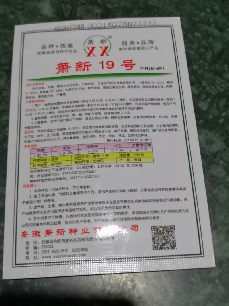 泡椒种子