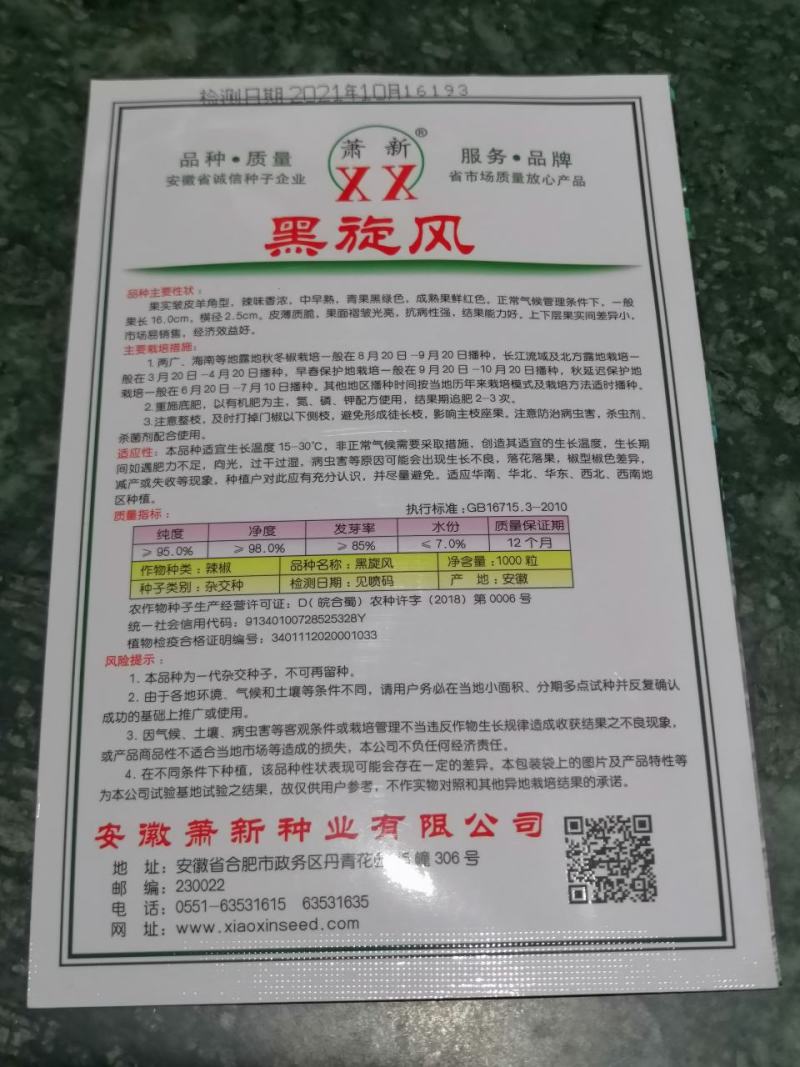 温室早春弓棚秋延迟专用新品种皱椒黑旋风