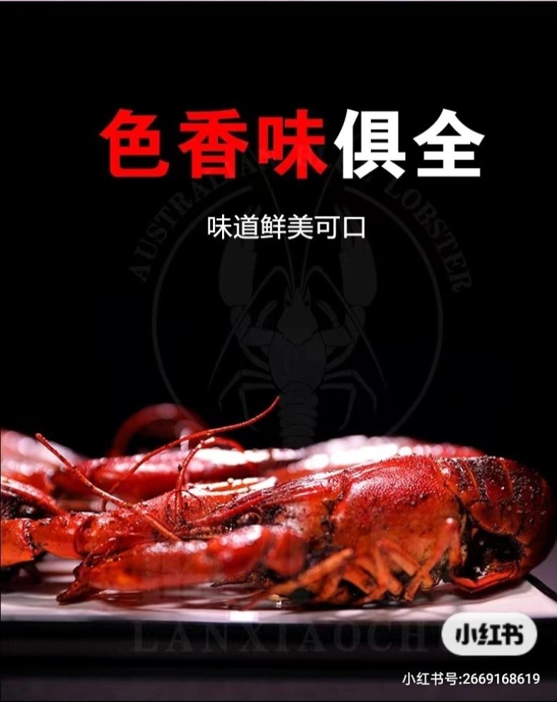 龙虾