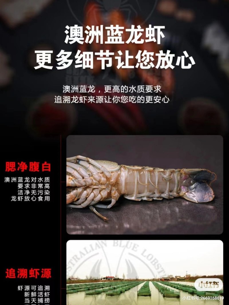 龙虾
