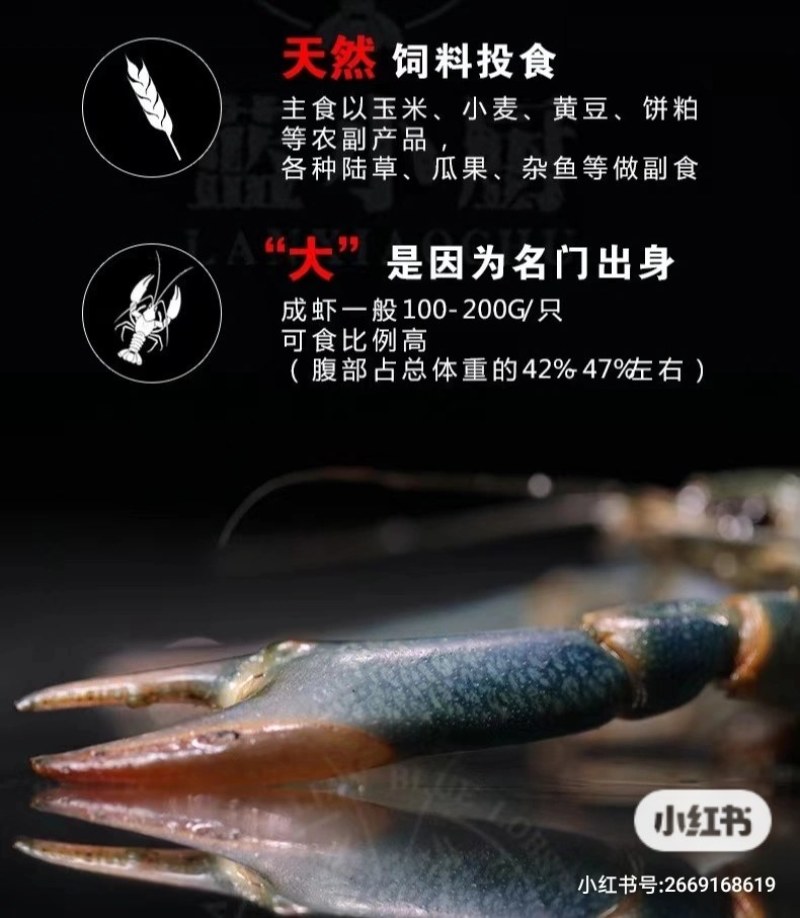 龙虾