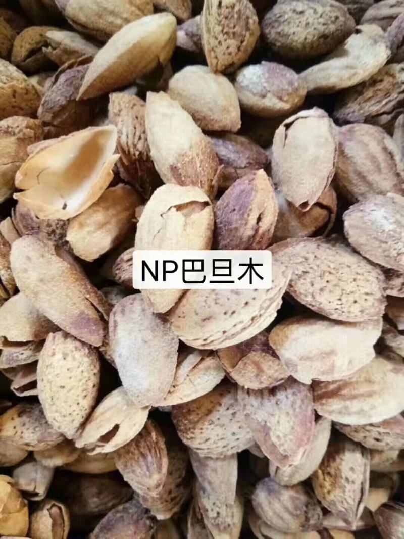 巴达木，NP,小珍珠，皮薄，仁大口感好，是理想的休闲食品