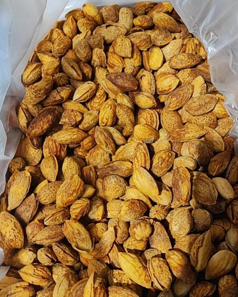 巴达木，NP,小珍珠，皮薄，仁大口感好，是理想的休闲食品