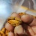 巴达木，NP,小珍珠，皮薄，仁大口感好，是理想的休闲食品
