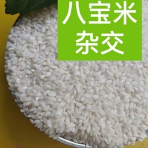 云南特产大米八宝贡米高原小粒香5kg