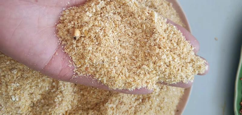 玉米次粉降低养殖成本长期出售玉米粉玉米次粉
