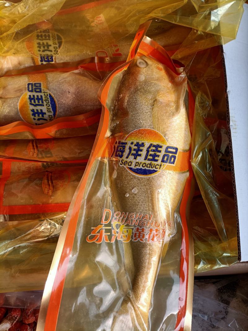 大黄花鱼一条1.1斤质量好