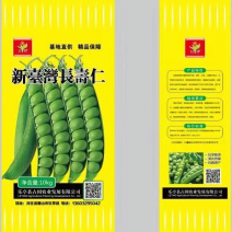 优质甜豌豆种子长寿仁早熟高产甜脆王中豌六号九号豌豆