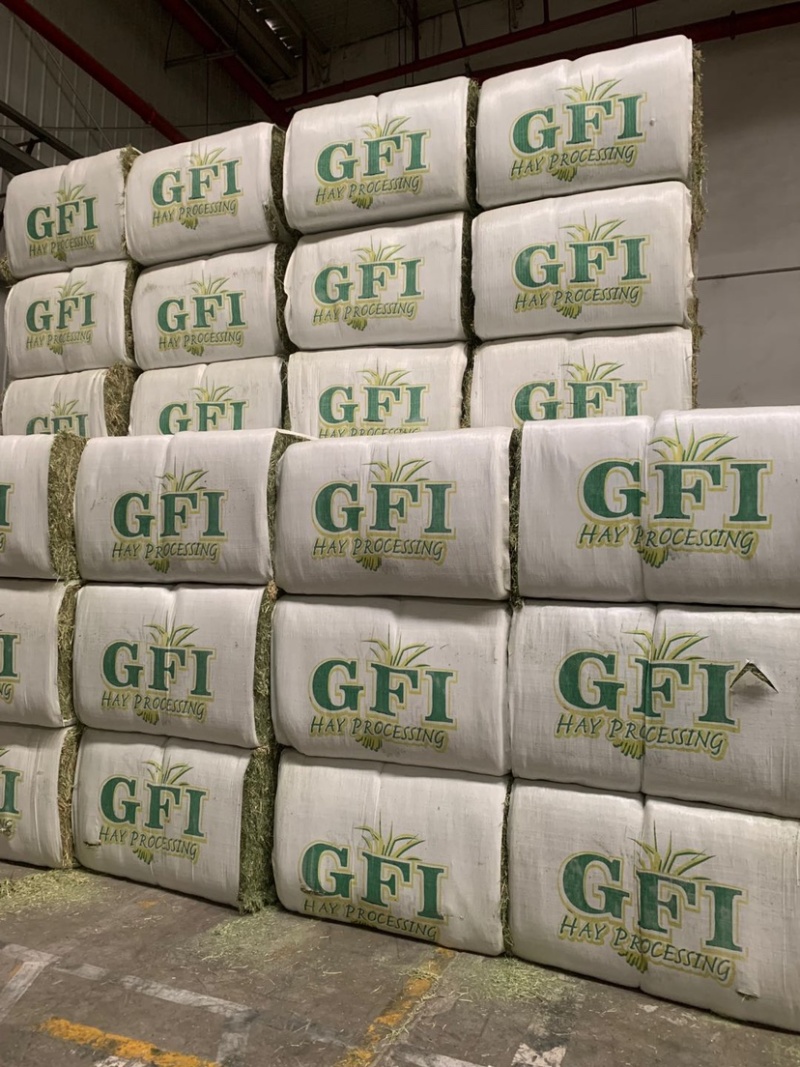 美国进口苜蓿草