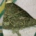 美国进口苜蓿草
