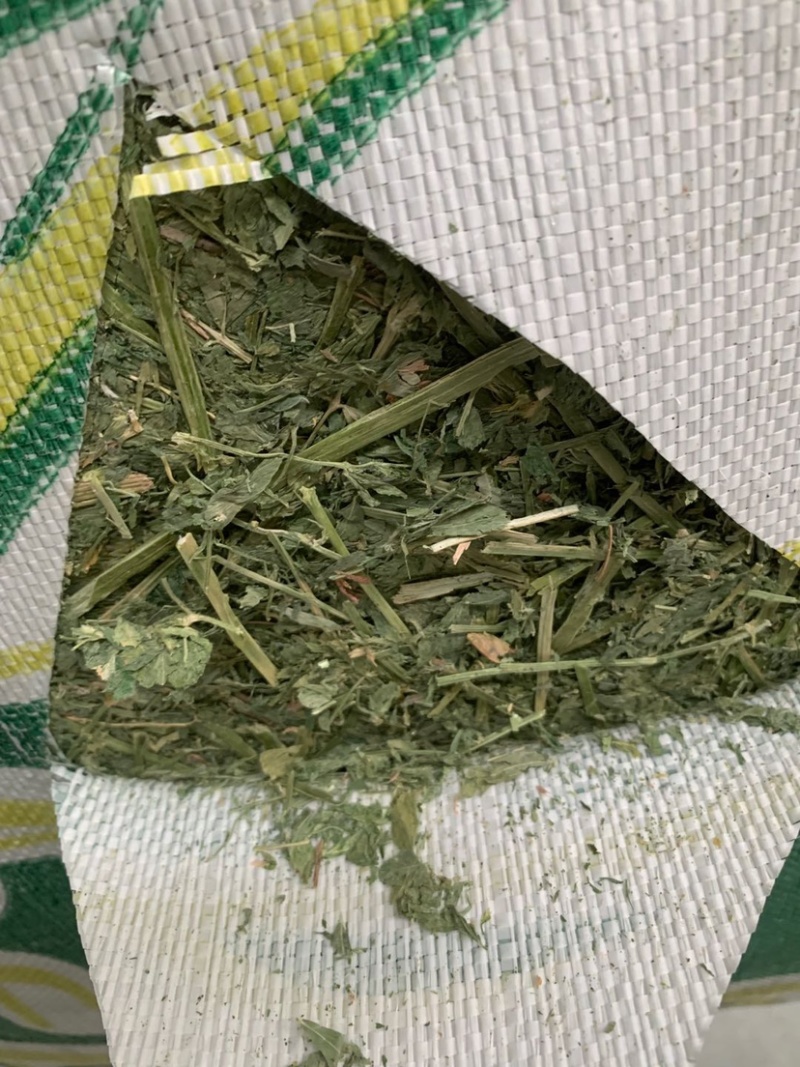 美国进口苜蓿草
