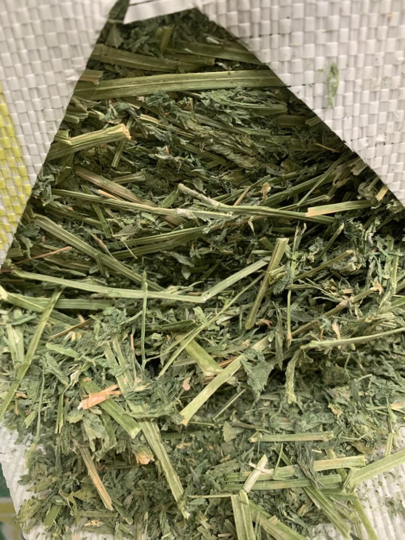 美国进口苜蓿草