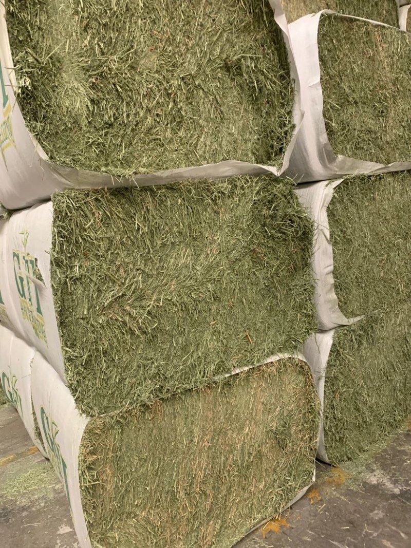 美国进口苜蓿草