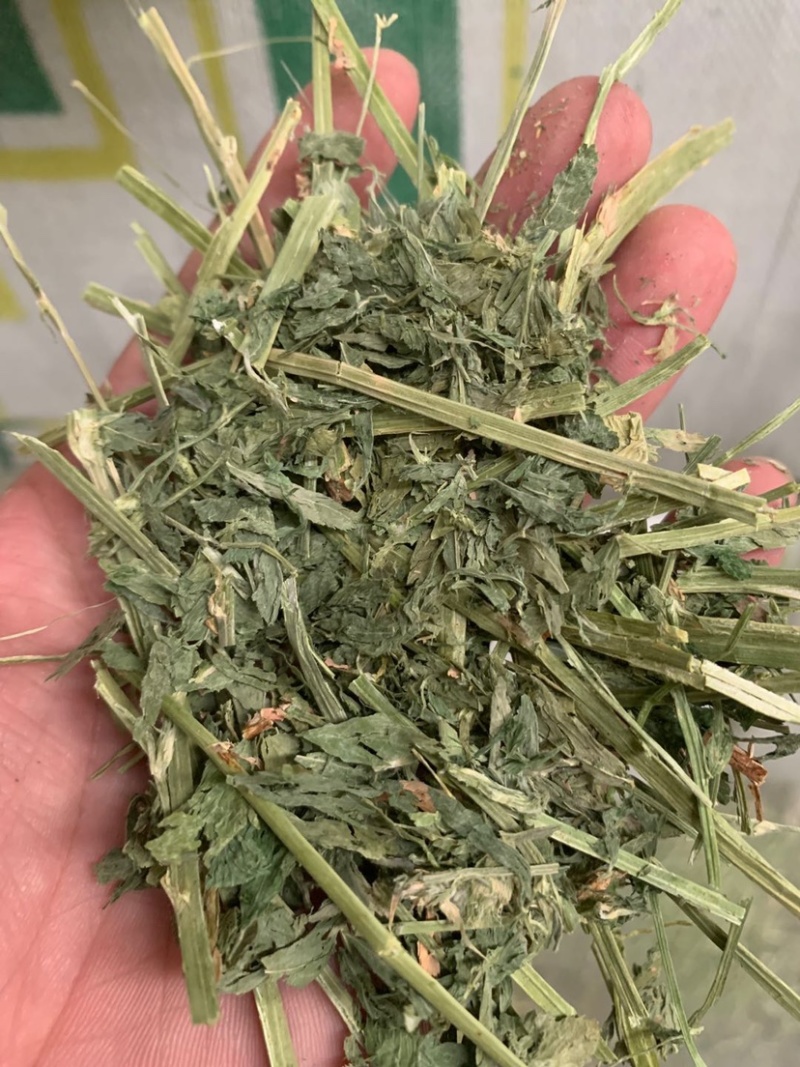 美国进口苜蓿草