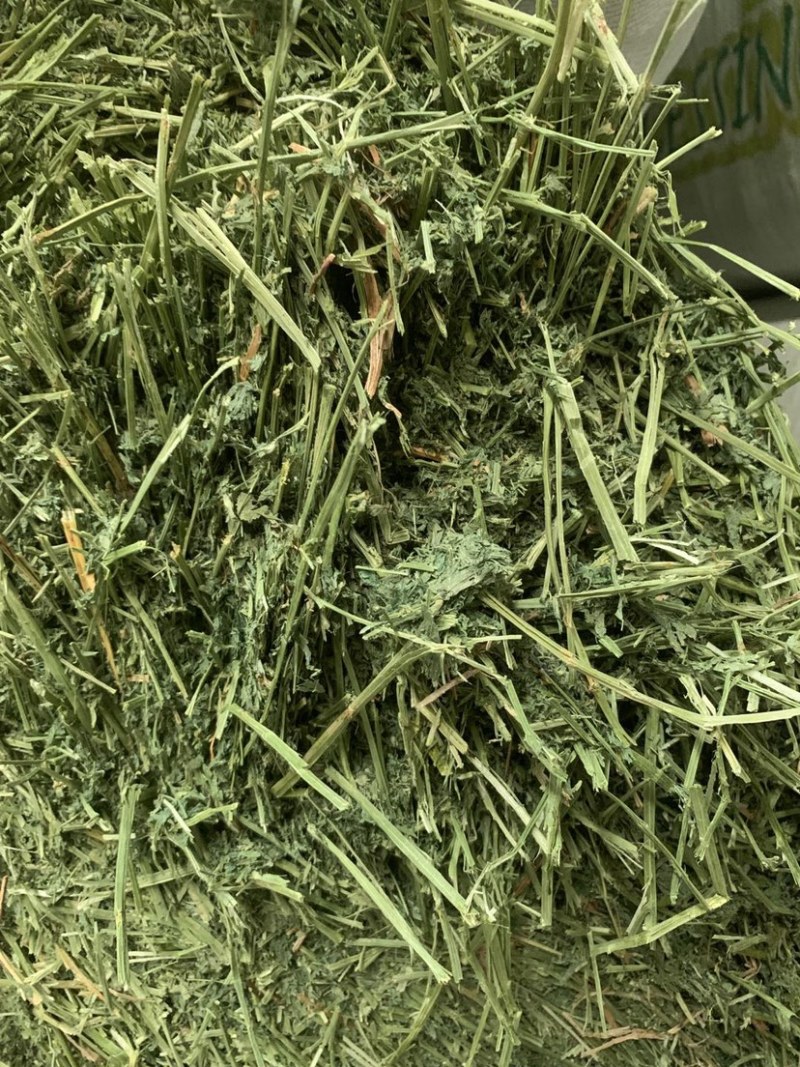 美国进口苜蓿草
