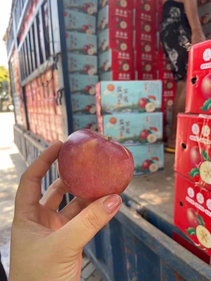 精选四川凉山丑苹果脆甜糖度高，货优量足迎进店选购