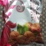 新货薄皮核桃新疆产地一手货源白仁饱满电商货源