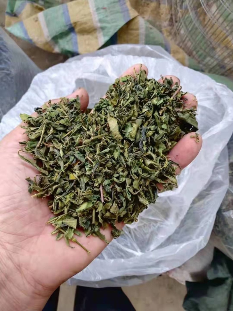 2024新茶绿茶茶叶低档云雾绿茶叶电商饭店宾馆商用原料茶