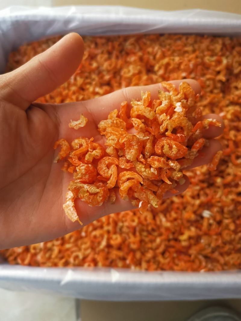 深海虾米舟山虾米（大货批发）