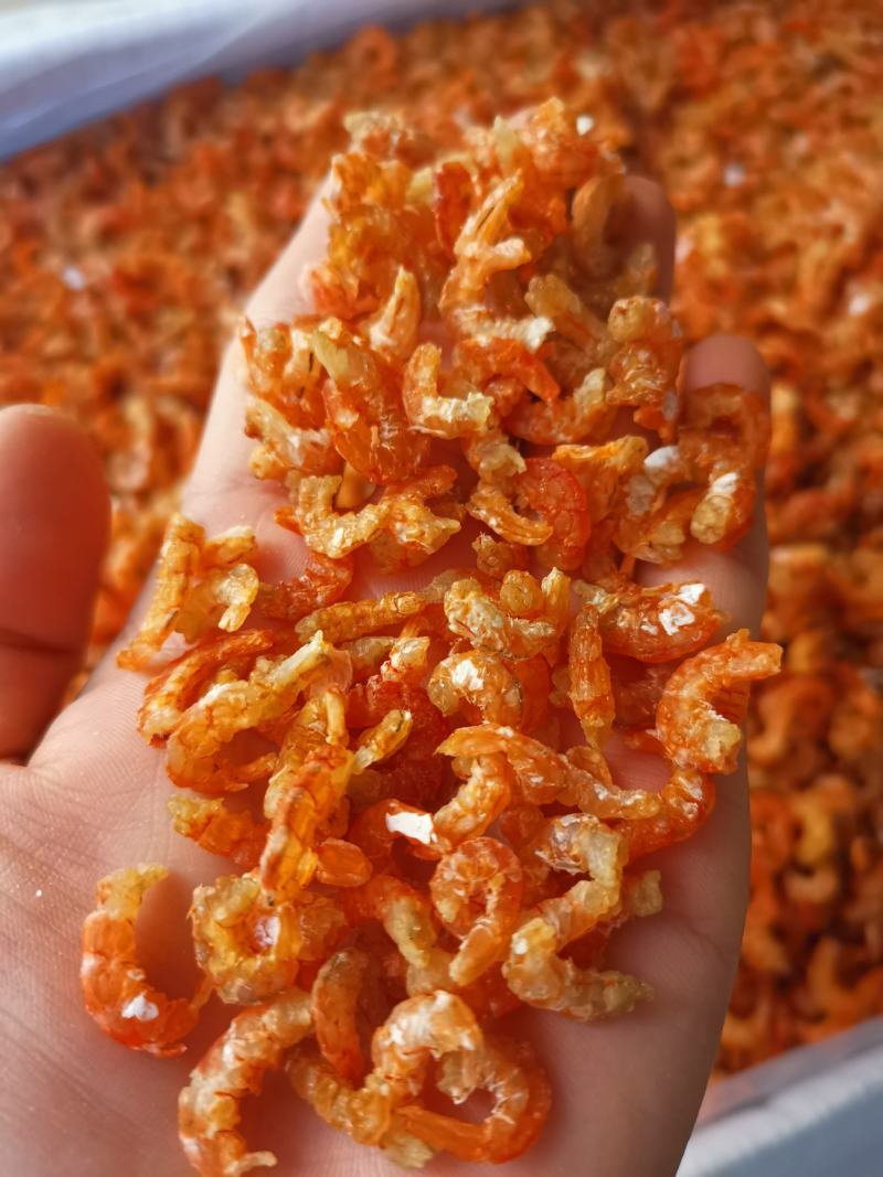 深海虾米舟山虾米（大货批发）
