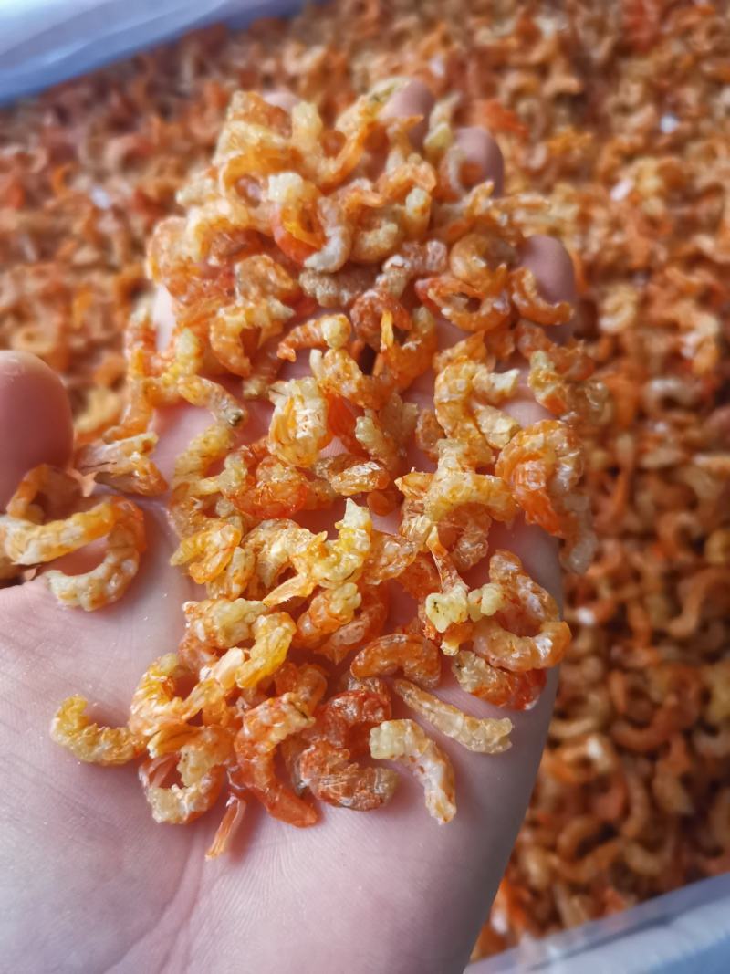 深海虾米舟山虾米（大货批发）