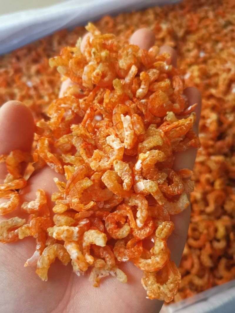 深海虾米舟山虾米（大货批发）