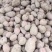 青薯9号土豆，陇七土豆通货3两以上