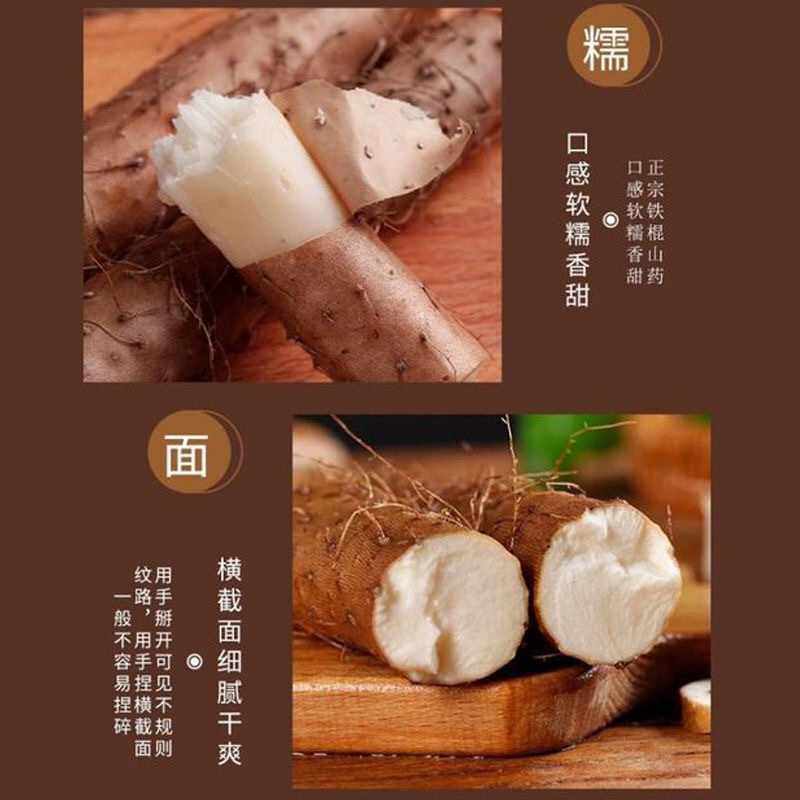 温县西宝丰铁杆山药
