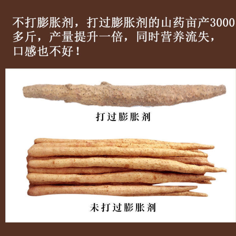 温县西宝丰铁杆山药