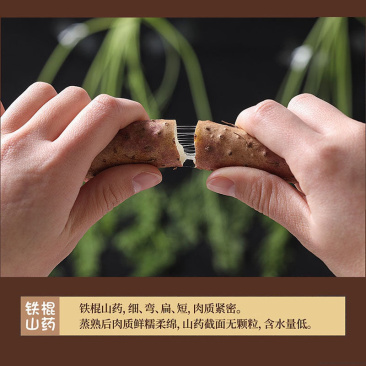 温县西宝丰铁杆山药