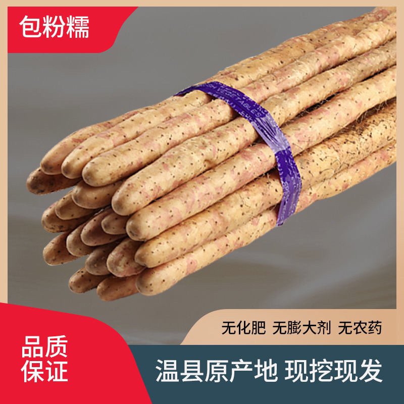 温县西宝丰铁杆山药