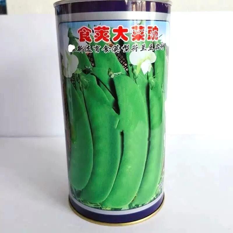 台湾长寿仁豌豆种子
