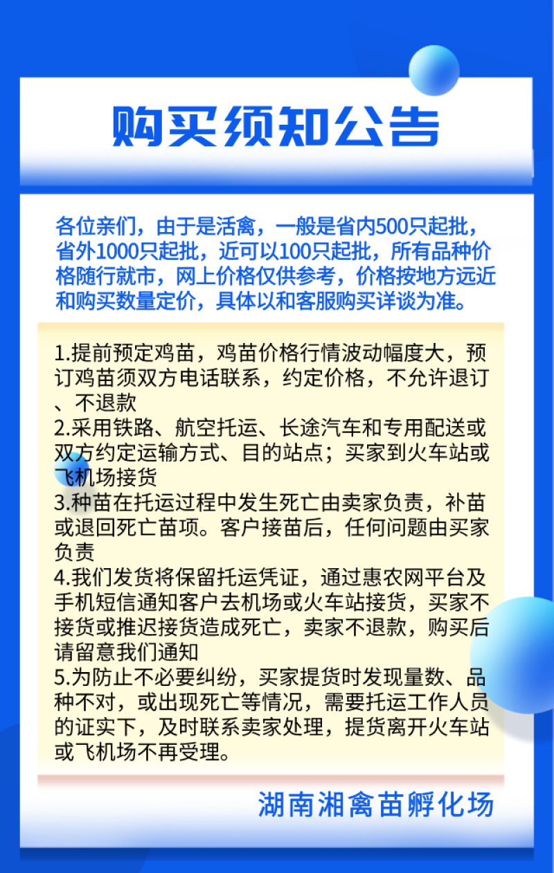 厂家出售鸡苗批发快大黑乌鸡苗五黑鸡苗量大优惠