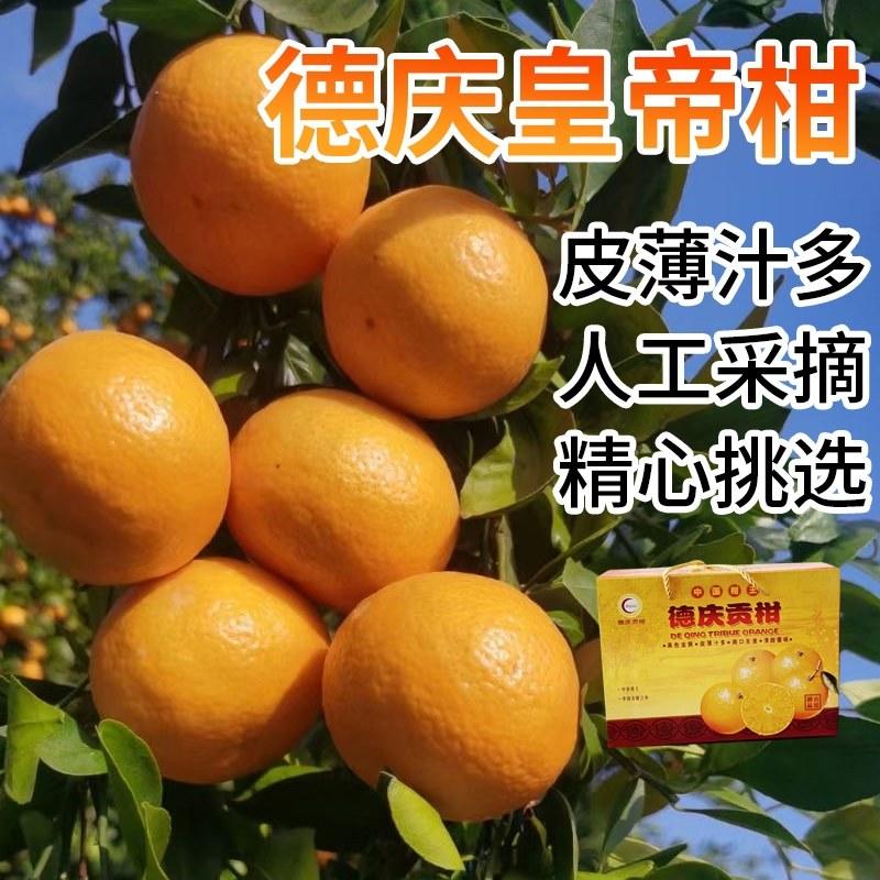 【牛商优选】广东皇帝柑大量供应代发全国香甜多汁