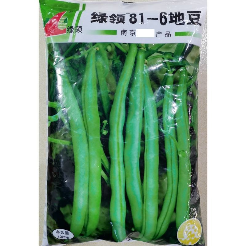 绿领无架四季豆种子，早熟丰产,优质无筋2斤装地豆种子