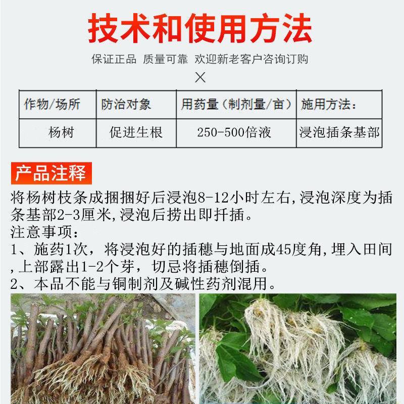 5%吲哚丁酸萘乙酸扦插移栽花卉蔬菜生根提高成活率