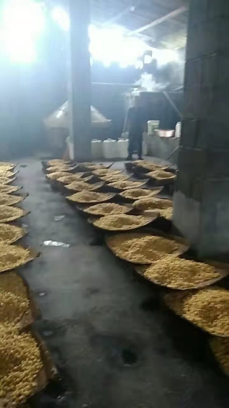 湖北恩施土家自酿包谷酒白酒