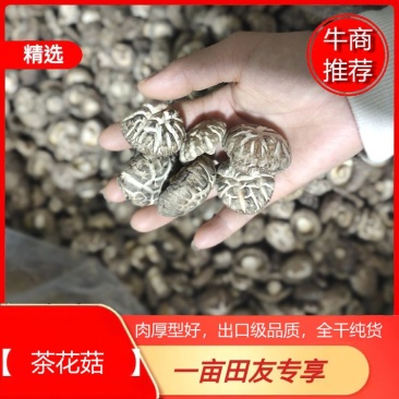 2023产地一手货源精品茶花菇干香菇肉厚型好