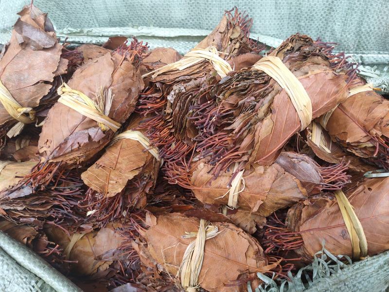 山楂叶茶野生梨楂叶正品天然特级山楂叶子
