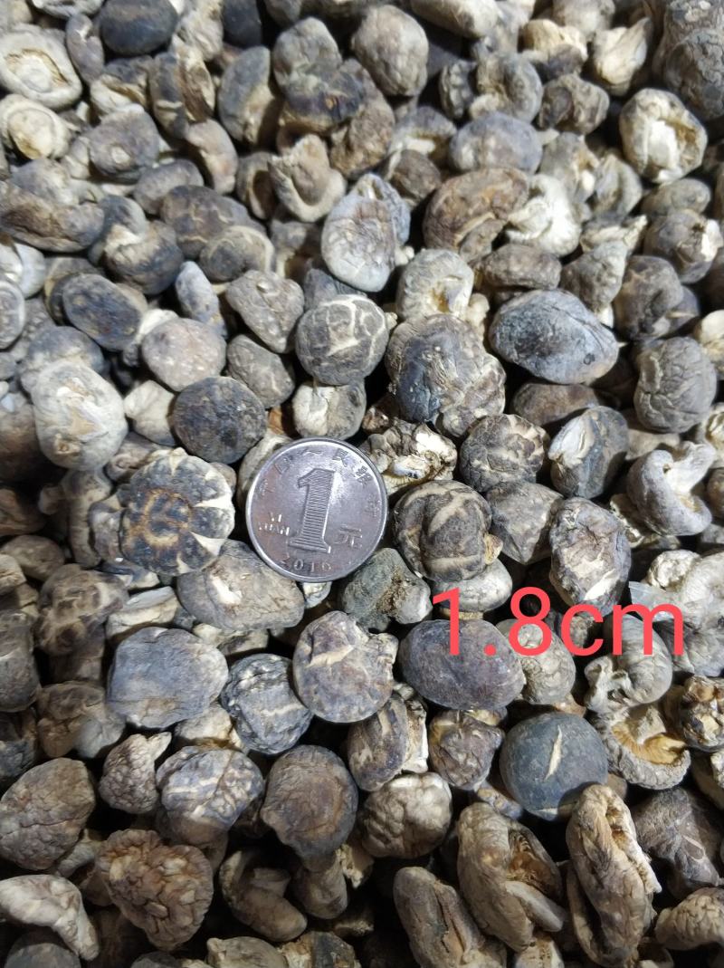 【随州干香菇】冬菇茶花品种齐全剪脚肉厚味香农家特产