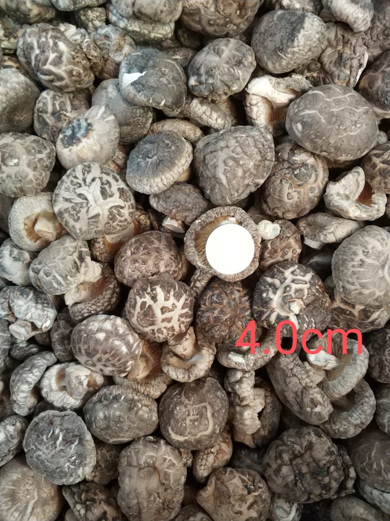 【随州干香菇】冬菇茶花品种齐全剪脚肉厚味香农家特产