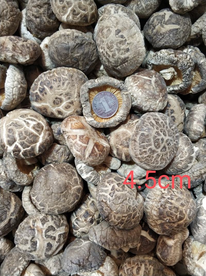 【随州干香菇】冬菇茶花品种齐全剪脚肉厚味香农家特产