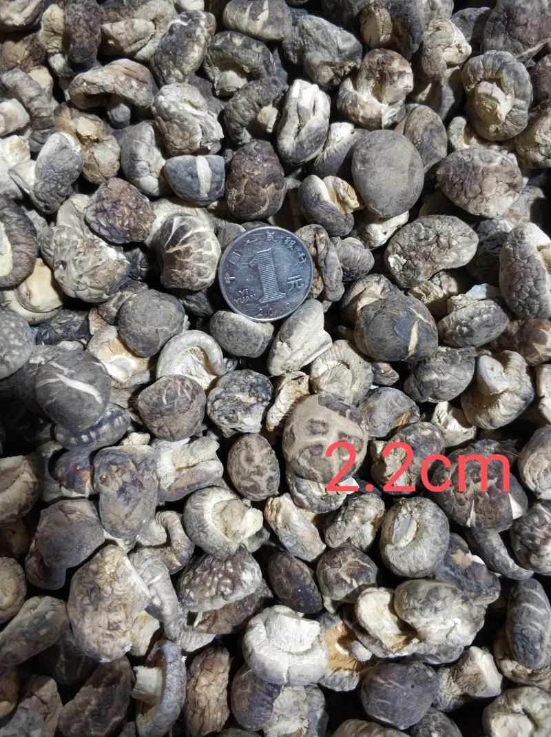 【随州干香菇】冬菇茶花品种齐全剪脚肉厚味香农家特产