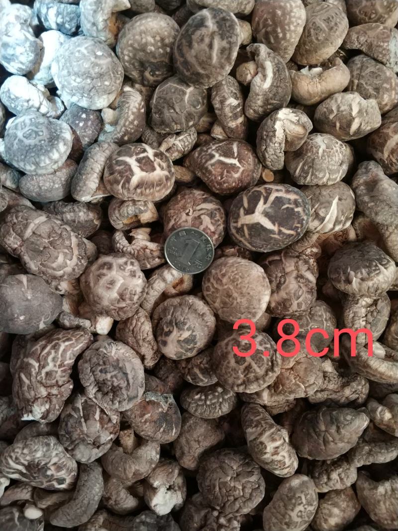 【随州干香菇】冬菇茶花品种齐全剪脚肉厚味香农家特产