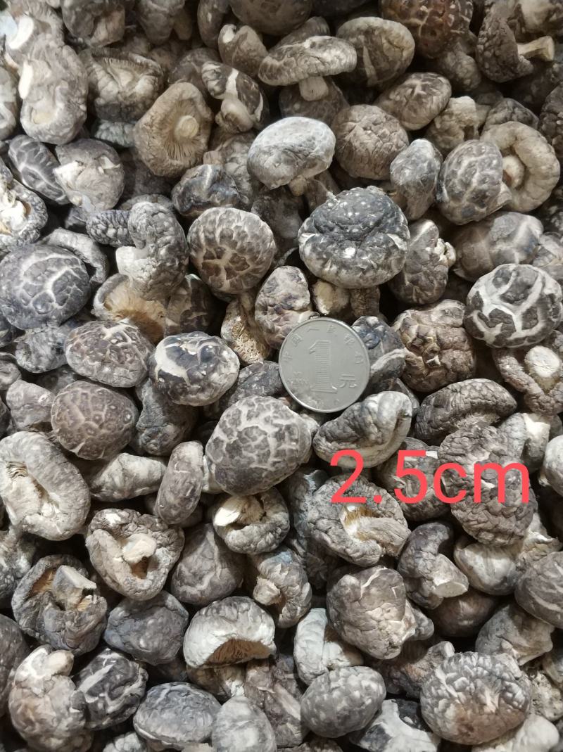 【随州干香菇】冬菇茶花品种齐全剪脚肉厚味香农家特产