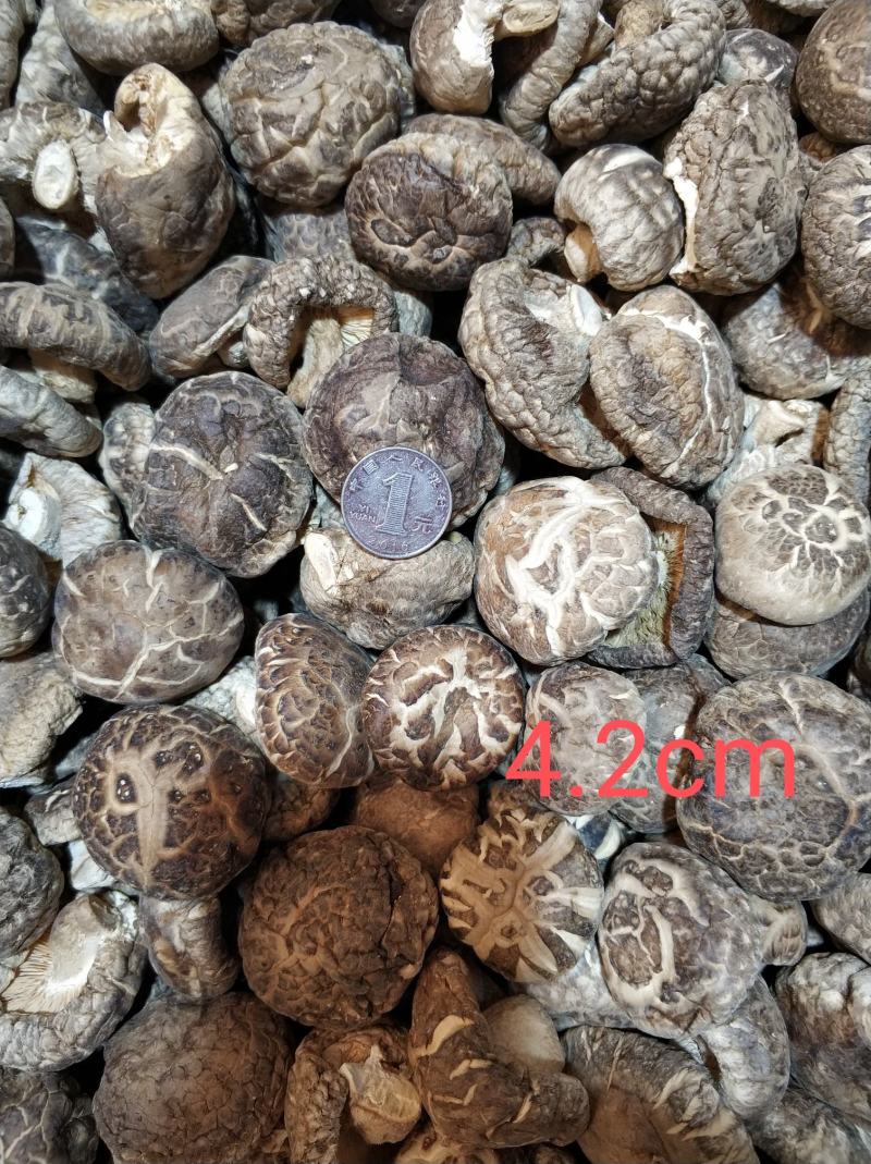 【随州干香菇】冬菇茶花品种齐全剪脚肉厚味香农家特产