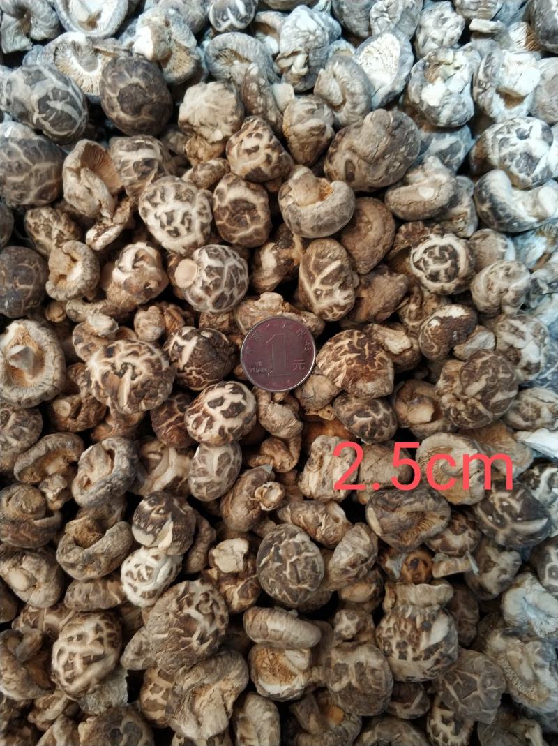 【随州花菇】精品手选产地一手货源批发肉厚/味香/剪脚