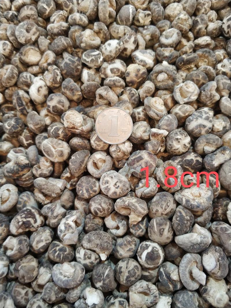 【随州花菇】精品手选产地一手货源批发肉厚/味香/剪脚