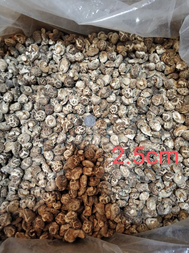 【随州花菇】精品手选产地一手货源批发肉厚/味香/剪脚