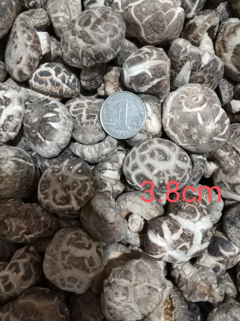 【随州花菇】精品手选产地一手货源批发肉厚/味香/剪脚